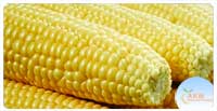 Corn On Cob