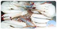Cut Crab