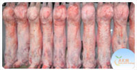Lamb