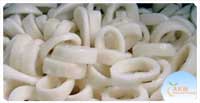 Squid Rings