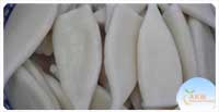 Squid Tubes