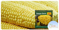 Sweet Corn