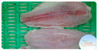 Untrimed Cream Dhori Fillet
